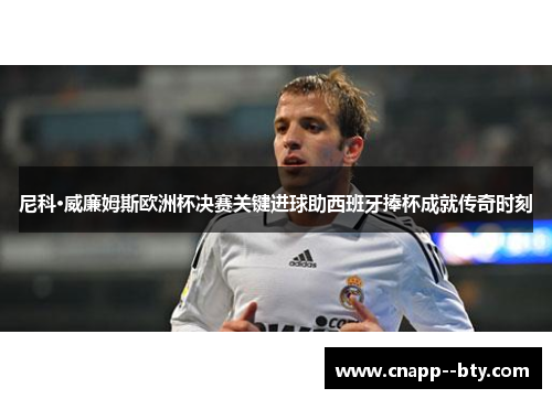 尼科·威廉姆斯欧洲杯决赛关键进球助西班牙捧杯成就传奇时刻